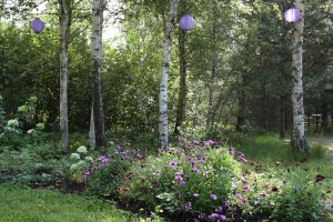 latvia-garden